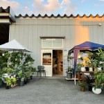 明日よりグリーン&小家具モリモリ【OUTLET  STORE】